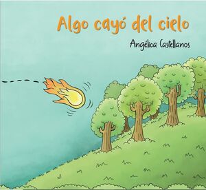 ALGO CAYÓ DEL CIELO