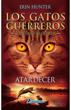 GATOS G-NUEVA PROFECIA 6-ATARDECER
